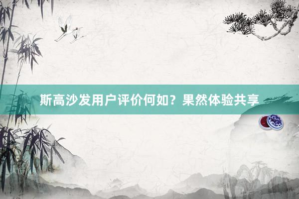 斯高沙发用户评价何如？果然体验共享