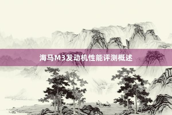 海马M3发动机性能评测概述
